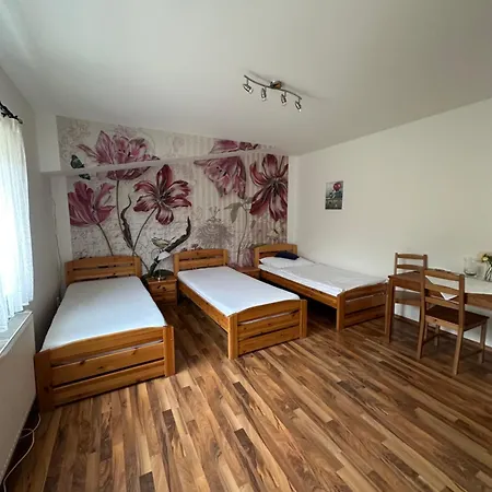 Guest house 4 Dvory 3*