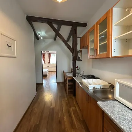 Πανσιόν 4 Dvory Τσέσκε Μπουντεγιόβιτσε